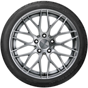 Taurus High Performance 195/55 R15 85V