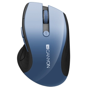 Mouse Canyon CNS-CMSW01