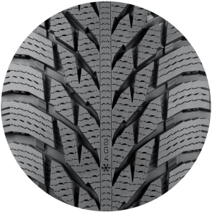 Nokian Hakkapeliitta R3 165/60 R15 81R