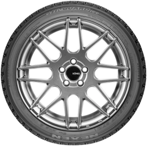 Nexen Winguard Ice 245/45 R19 102T