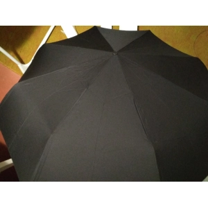 Xiaomi Mijia Automatic Umbrella