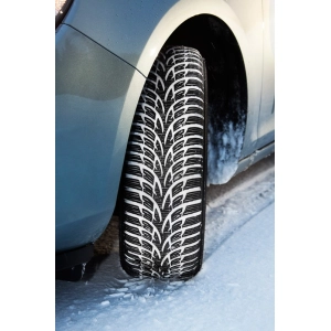 Nokian WR D3