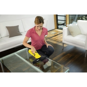 Karcher WV 2 Promo