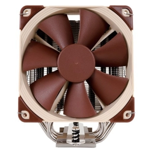 Noctua