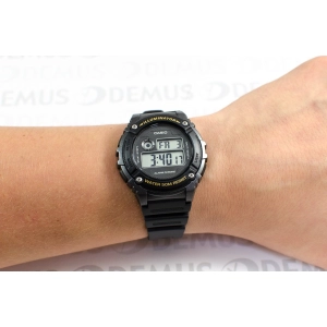 Casio W-216H-2A