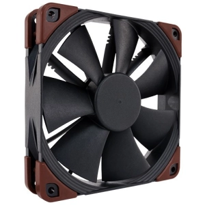 Noctua