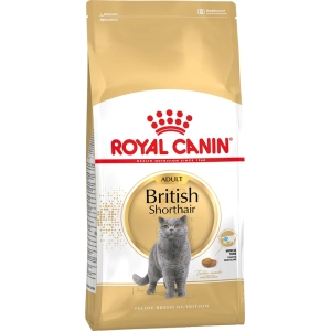 Ração para gatos Royal Canin British Shorthair 34 10 kg