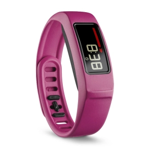 Garmin Vivofit 2