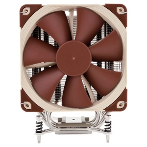 Noctua