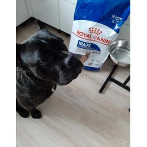 Royal Canin