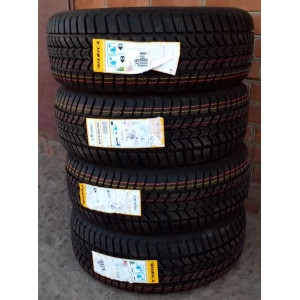 Debica Frigo HP2 195/55 R15 85H