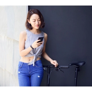 Xiaomi MiJia QiCycle